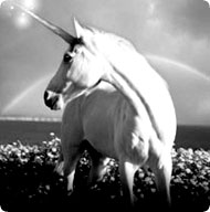 unicorn1.jpg